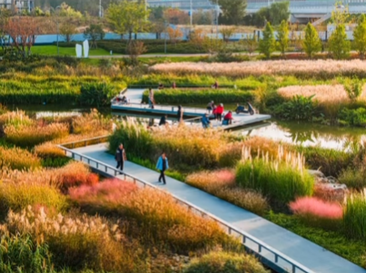 秋光為伴，我們與張村河共繪新景
